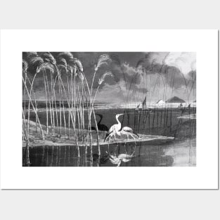 Egrets on the lake in dark dimension Posters and Art